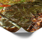 Sonnenlichtdurchgang Entdeckungsreise zur Alp Pior Poster (Ecke)