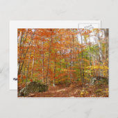 Sonnenlichtdurchgang Entdeckungsreise zur Alp Pior Postkarte (Vorne/Hinten)