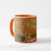 Sonnenlichtdurchgang Entdeckungsreise zur Alp Pior Tasse (Vorderseite Links)