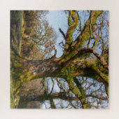 Sonnenlichter Waldweg zu einem alten Baum Puzzle (Horizontal)