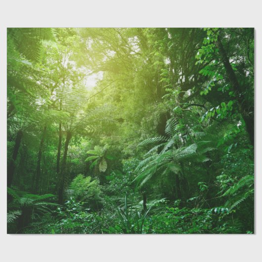 Sonnenlichtes Baumdach im tropischen Dschungel Geschenkpapier (Flach)
