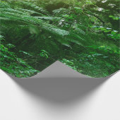 Sonnenlichtes Baumdach im tropischen Dschungel  Geschenkpapier (Ecke)