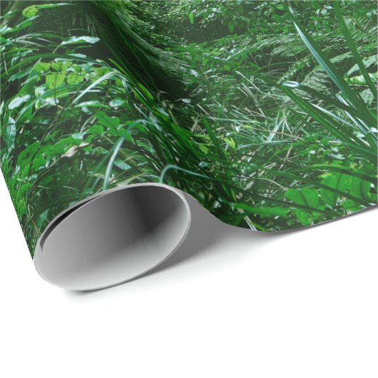 Sonnenlichtes Baumdach im tropischen Dschungel Geschenkpapier (Rolleneckpunkt)