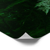 Sonnenlichtes Baumdach im tropischen Dschungel Poster (Ecke)