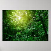 Sonnenlichtes Baumdach im tropischen Dschungel Poster (Vorne)