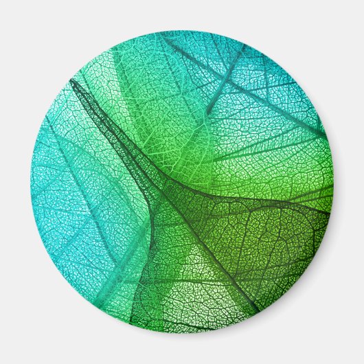Sonnenlichtfilterung durch transparente Blätter Magnet (Vorne)