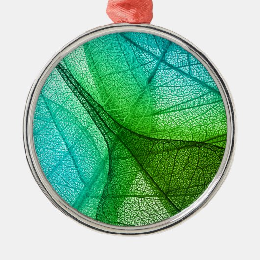 Sonnenlichtfilterung durch transparente Blätter Silbernes Ornament (Vorne)