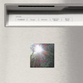 Sonnenlichtgarten Magnet (In Situ (Geschirrspüler))
