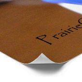 Sonnenlichtmarkierungen Poster (Ecke)