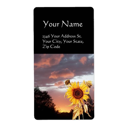 SONNENLIEGEN UND SOMMERSONNENANSCHLUSS (Vorne)