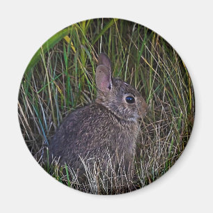 Sonnenmagazin Magnet