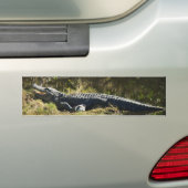 Sonnenmelder Autoaufkleber (Auf Auto)