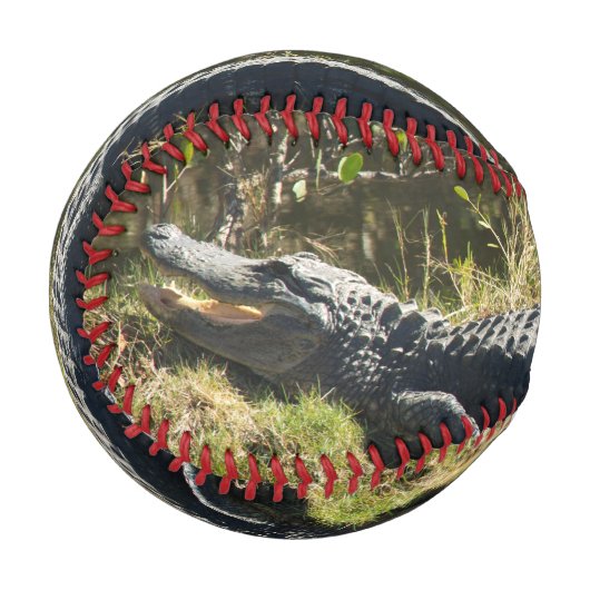 Sonnenmelder Baseball (Vorderseite Links)