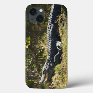 Sonnenmelder Case-Mate iPhone Hülle