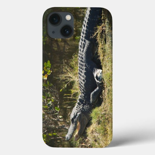 Sonnenmelder Case-Mate iPhone Hülle (Rückseite)