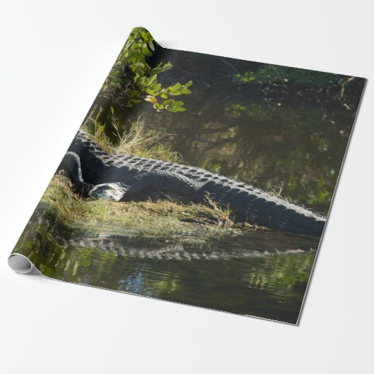 Sonnenmelder Geschenkpapier (Ungerollt)