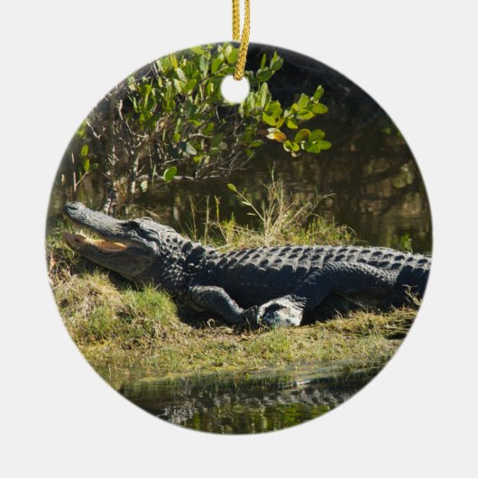 Sonnenmelder Keramik Ornament (Vorne)