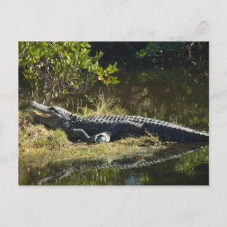 Sonnenmelder Postkarte