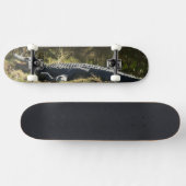 Sonnenmelder Skateboard (Horizontal)