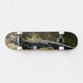 Sonnenmelder Skateboard (Horizontal)