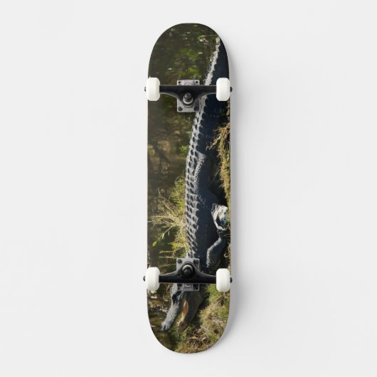 Sonnenmelder Skateboard (Vorderseite)