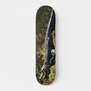 Sonnenmelder Skateboard