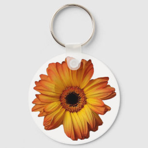 Sonnenorange Gerbera-Blütenblüte Schlüsselanhänger