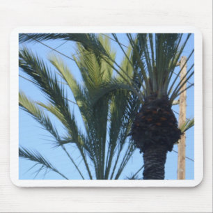 Sonnenpalmen Bäume California Urlaub Mousepad
