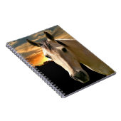 Sonnenpferd Notizblock (Rechte Seite)