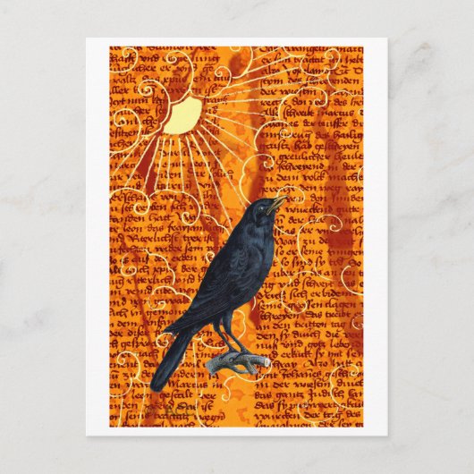 Sonnenrabe Postkarte (Vorderseite)