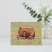 Sonnenruhen Postkarte (Stehend Vorderseite)