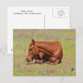Sonnenruhen Postkarte (Vorne/Hinten)
