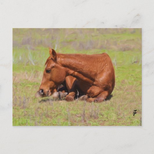 Sonnenruhen Postkarte (Vorderseite)
