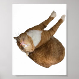 Sonnenschein auf dem Kopf Poster