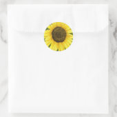 Sonnenschein auf einem Aufkleber (Tasche)