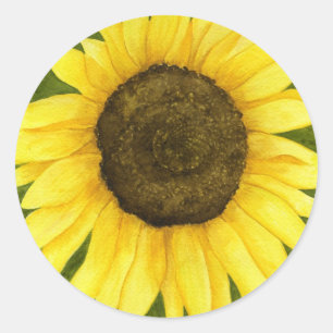 Sonnenschein auf einem Aufkleber