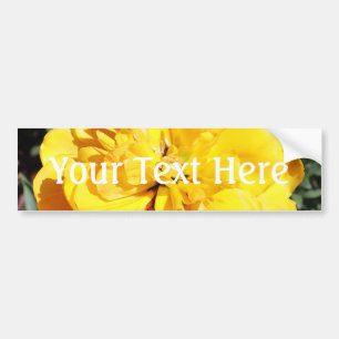 Sonnenschein Autoaufkleber