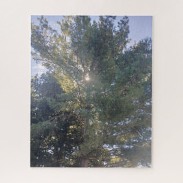 Sonnenschein durch das Baum-Jigsaw-Puzzle Puzzle
