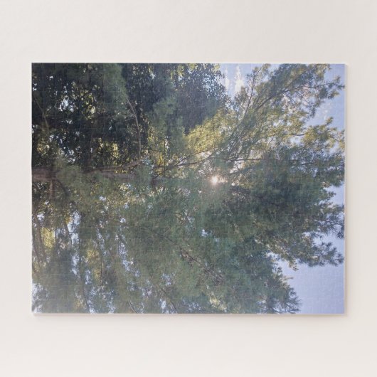 Sonnenschein durch das Baum-Jigsaw-Puzzle Puzzle (Horizontal)