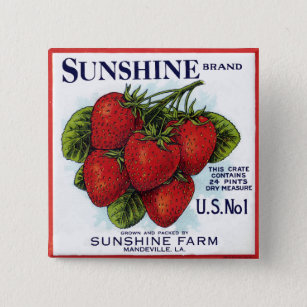 Sonnenschein Erdbeeren Button