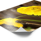 Sonnenschein Fotodruck (Ecke)