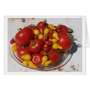 Sonnenschein-Garten-Sammlung ~ Tomaten