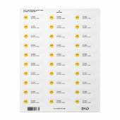 Sonnenschein im coolen Typ (Vorne)