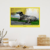 Sonnenschein im Gesicht, Druck Poster (Küche)