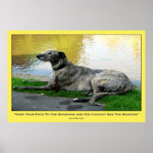 Sonnenschein im Gesicht, Druck Poster