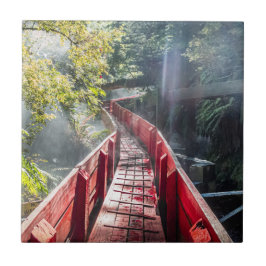 Sonnenschein in den Termas Geometrien, Conaripe, C Fliese