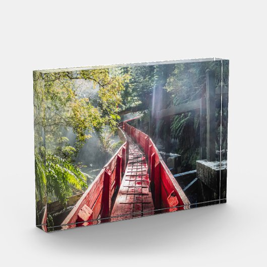 Sonnenschein in den Termas Geometrien, Conaripe, C Fotoblock (Links)