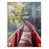 Sonnenschein in den Termas Geometrien, Conaripe, C Notizblock (Vorderseite)