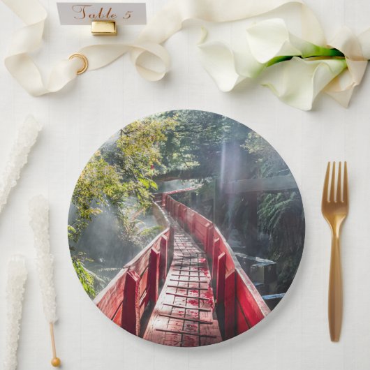 Sonnenschein in den Termas Geometrien, Conaripe, C Pappteller (Hochzeit)