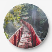 Sonnenschein in den Termas Geometrien, Conaripe, C Pappteller (Vorderseite)